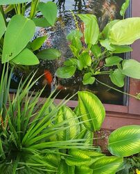 Braddell Heights Estate (D13), Detached #467805861